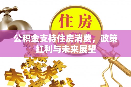 西工公积金支持住房消费，政策红利与未来展望