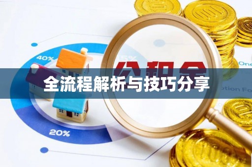 西工全流程解析与技巧分享